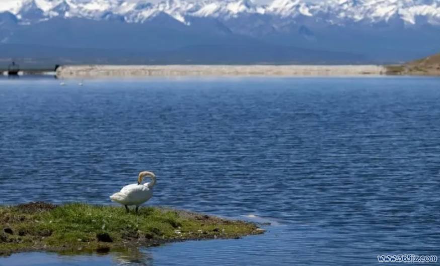 分析网站目标市场及分布的工具_如何利用imtoken官网网址获得市场分析与建议?_市场分析的网站